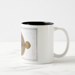 The Argus Flounder (Pleuronectes Argus) plate XLVI Two-Tone Coffee Mug