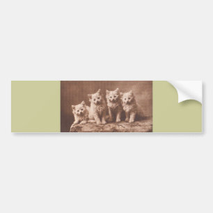 *The Aristocrats* Vintage Kitten Portrait Bumper Sticker