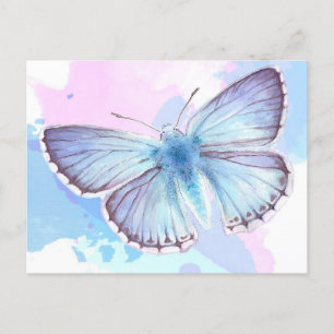 The Art Of Colourful Butterfly Special Gift Announcement Postcard