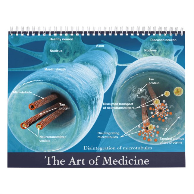 The Art of Medicine Calendar (Cover)