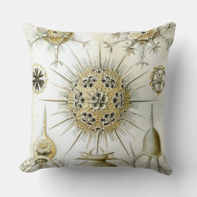 The Art of Nature by Ernst Haeckel Cushion (Front)