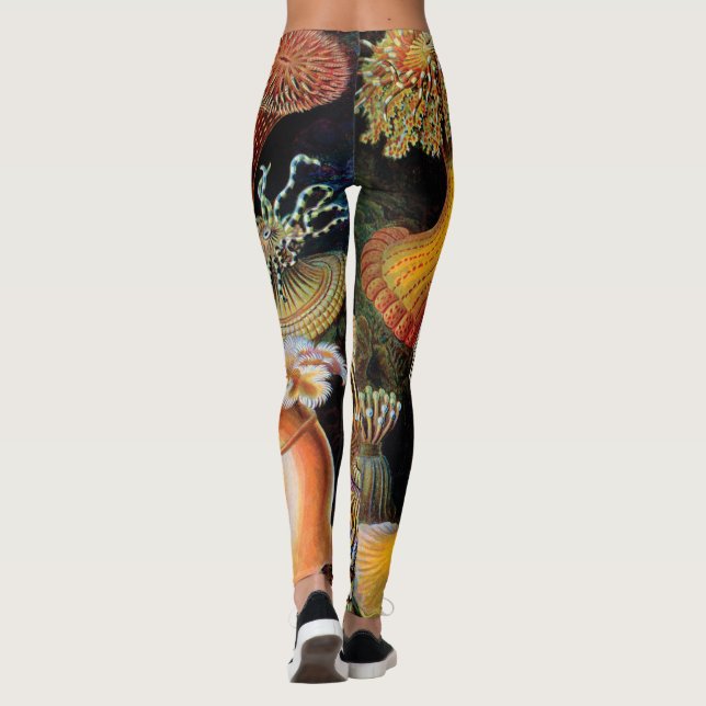 The Art of Nature by Ernst Haeckel Leggings (Back)