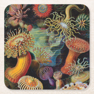 the Art of Nature by Ernst Haeckel Square Paper Coaster