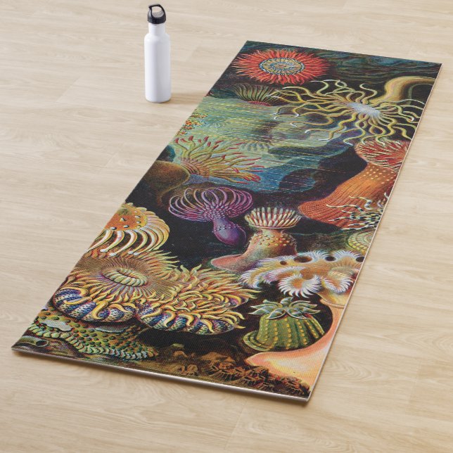the Art of Nature by Ernst Haeckel Yoga Mat (In Situ)