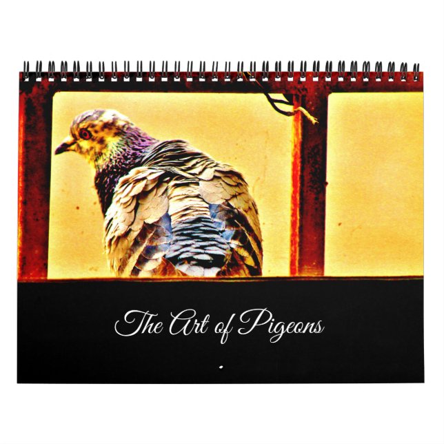 The Art of Pigeons Calendar (Cover)