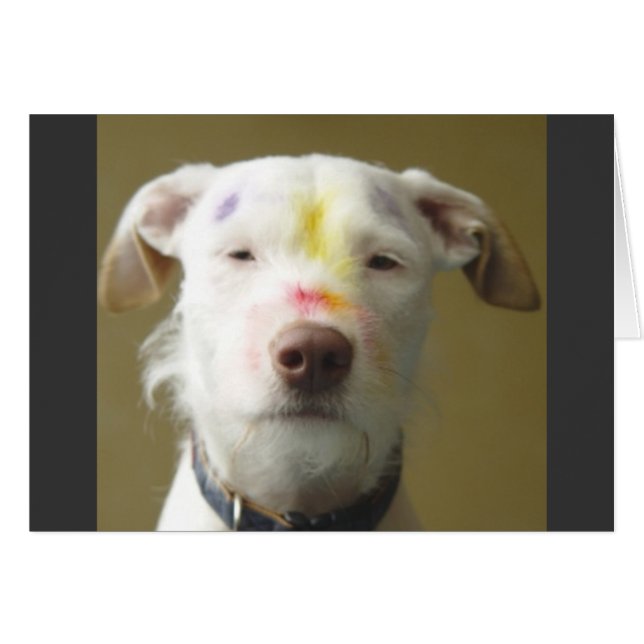 The Artistic Dog (Front Horizontal)