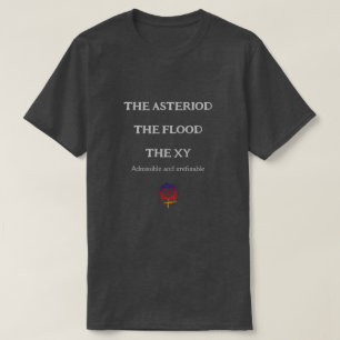 THE ASTERIOD FLOOD & XY Unisex T-Shirt