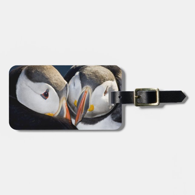 The Atlantic Puffin, a pelagic seabird Luggage Tag (Front Horizontal)