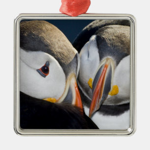 The Atlantic Puffin, a pelagic seabird Metal Tree Decoration
