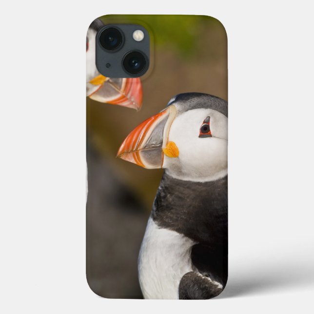 The Atlantic Puffin Case-Mate iPhone Case (Back)