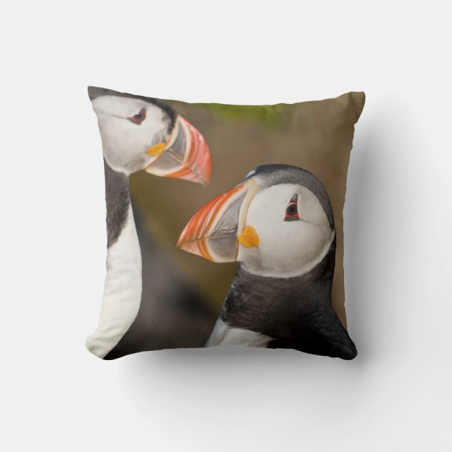 The Atlantic Puffin Cushion (Front)