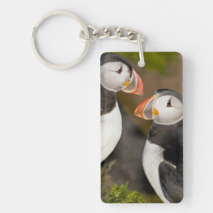 The Atlantic Puffin Key Ring