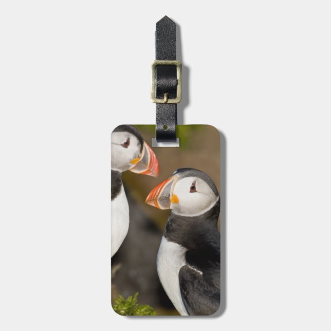 The Atlantic Puffin Luggage Tag (Front Vertical)
