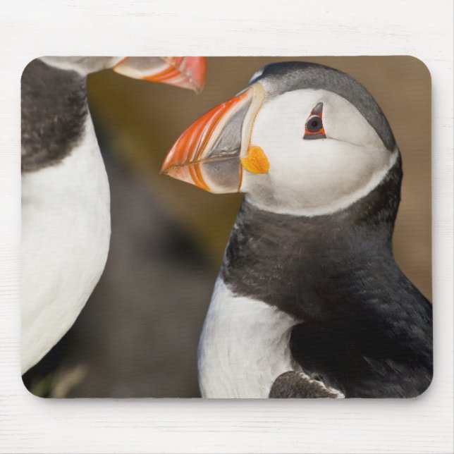 The Atlantic Puffin Mouse Mat (Front)