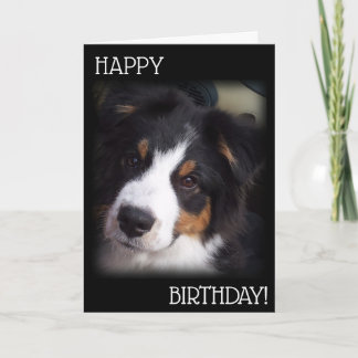 The Aussie Dog Birthday Card A1