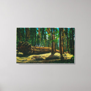 The Auto Log in Giant Forest, Redwoods Canvas Print