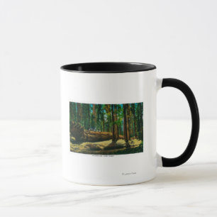 The Auto Log in Giant Forest, Redwoods Mug