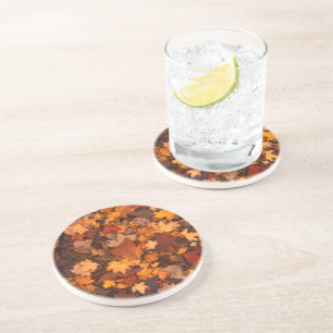 the autumn coaster