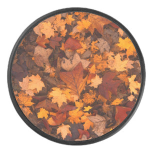 the autumn hockey puck