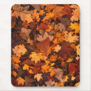 the autumn mouse mat