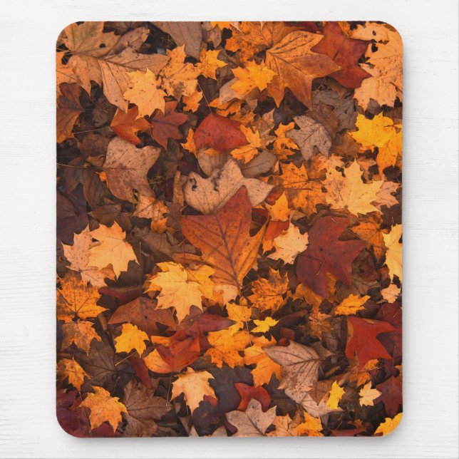 the autumn mouse mat (Front)