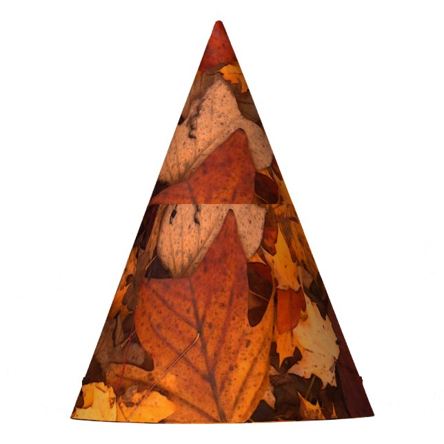 the autumn party hat (Front)