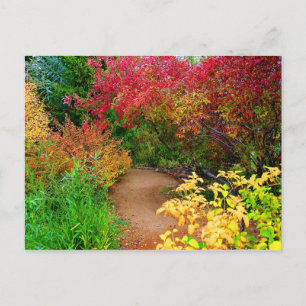 The Autumn Path Postcard