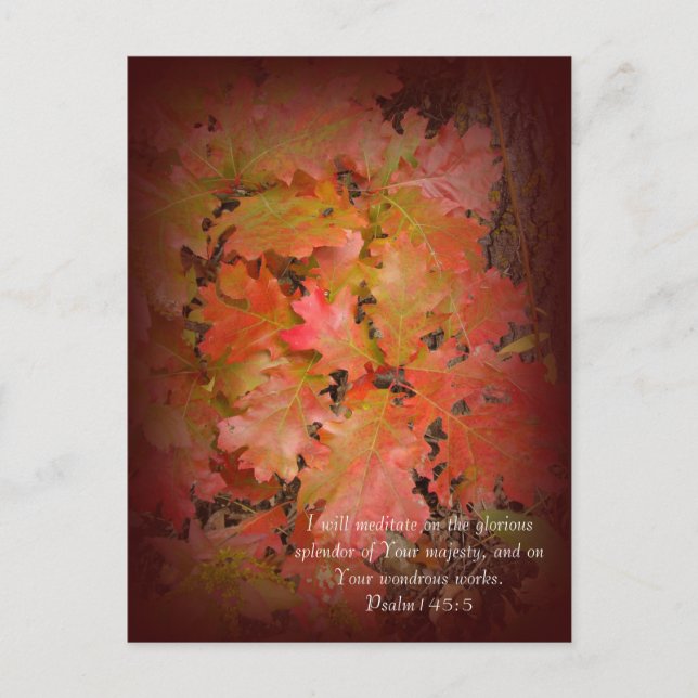 The Autumn Splendour Leaves Postcard (Front)