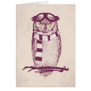 The aviator