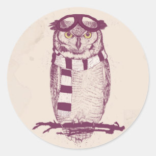 The aviator classic round sticker