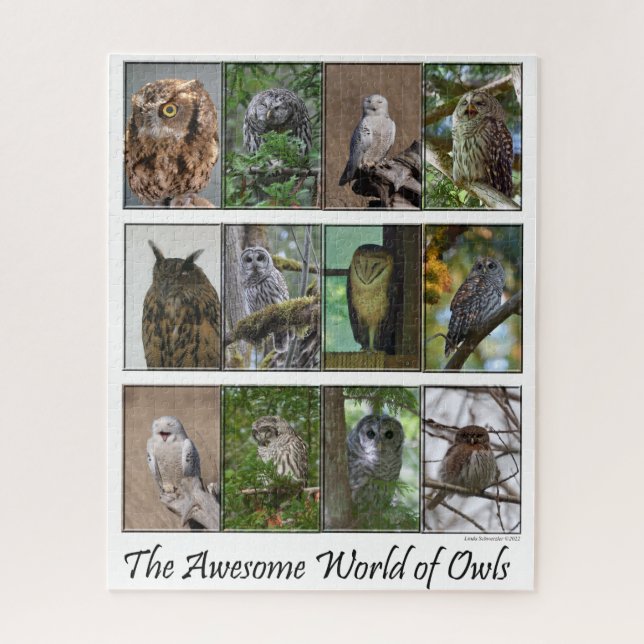 The Awesome World of Owls Puzzle (Vertical)