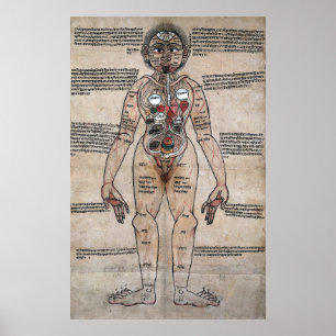 The Ayurvedic Man Poster