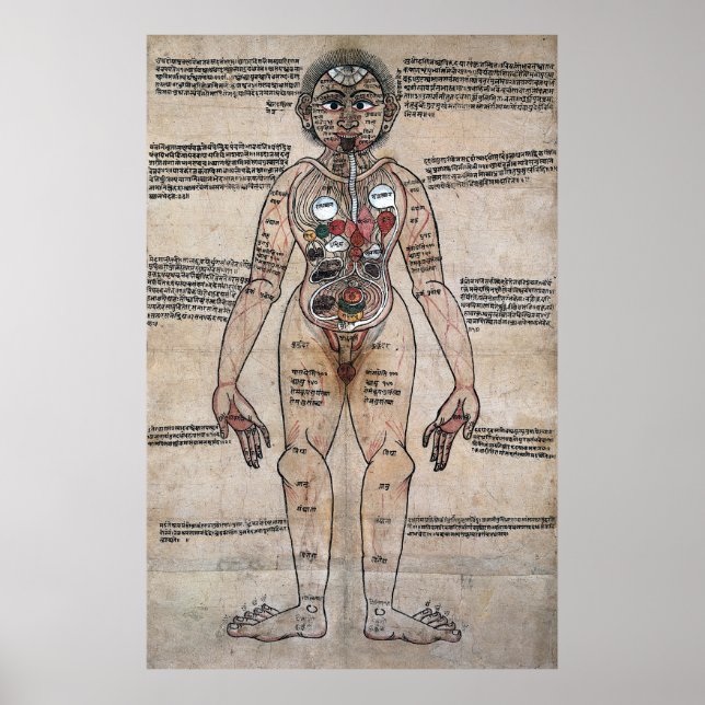 The Ayurvedic Man Poster (Front)