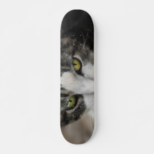 The Baby Look Skateboard