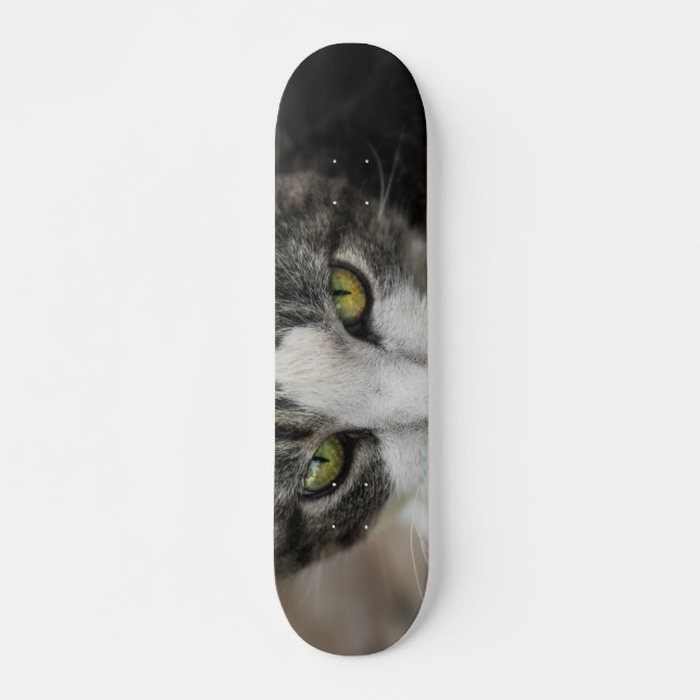 The Baby Look Skateboard (Front)