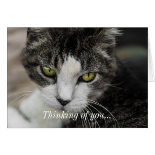 The Baby Look Thinking Of You Card