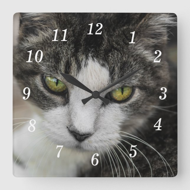 The Baby Look Wall Clock (Front)