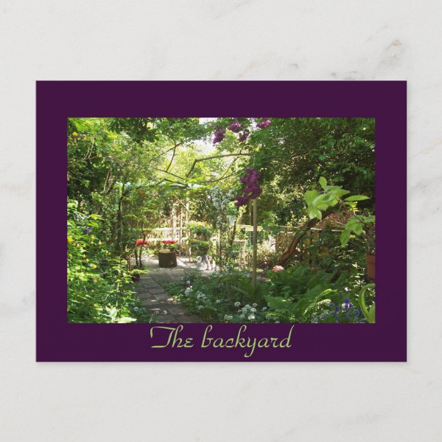 The backyard postcard (Front)