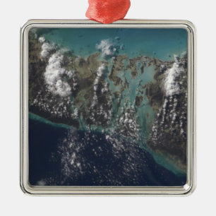 The Bahamas' Andros Island 2 Metal Tree Decoration