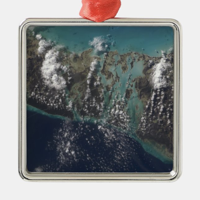 The Bahamas' Andros Island 2 Metal Tree Decoration (Front)