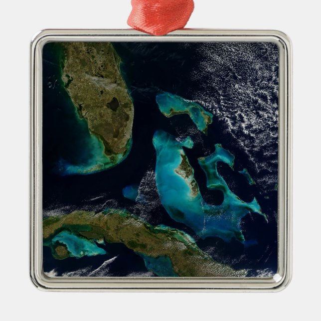 The Bahamas, Florida, and Cuba Metal Tree Decoration (Front)