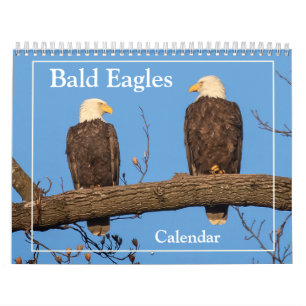 The Bald Eagle Calendar