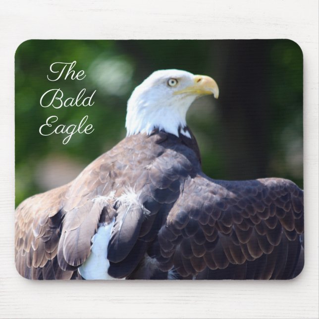 The Bald Eagle Mouse Mat (Front)