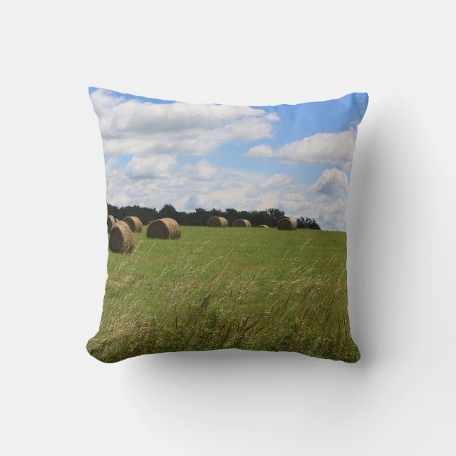 The Bales of Summer 2 Cushion (Front)