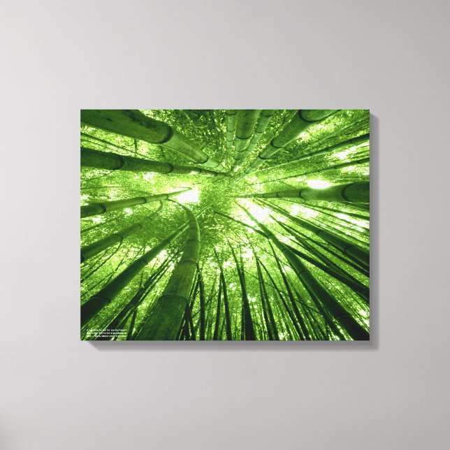 The bamboo forest canvas print (Front)