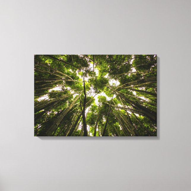 The Bamboo Forest Canvas Print (Front)