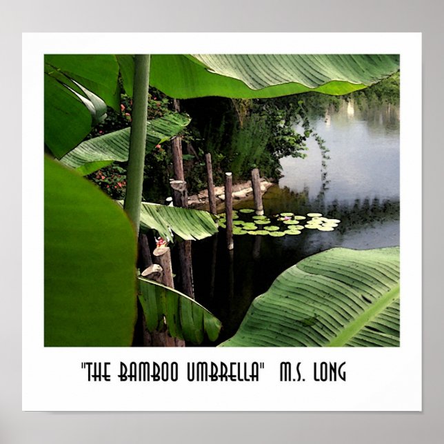 The Bamboo Umbrella Poster (Front)