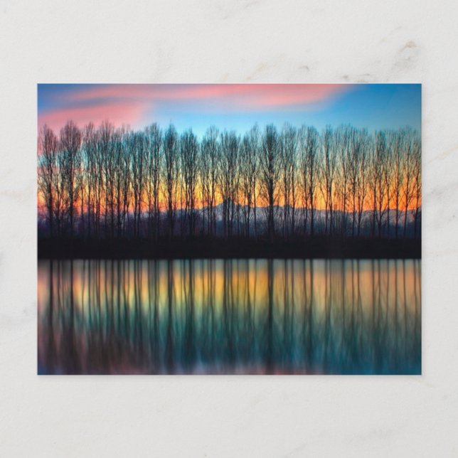 The Bank of the Po | Piedmont Italy Postcard (Front)