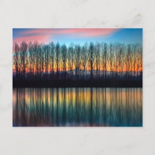 The Bank of the Po Piedmont Italy Postcard