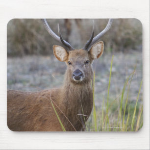 The Barasingha or Barasinga (Rucervus Mouse Mat